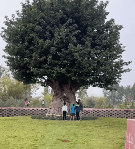 Meditative Panchatatva Walk