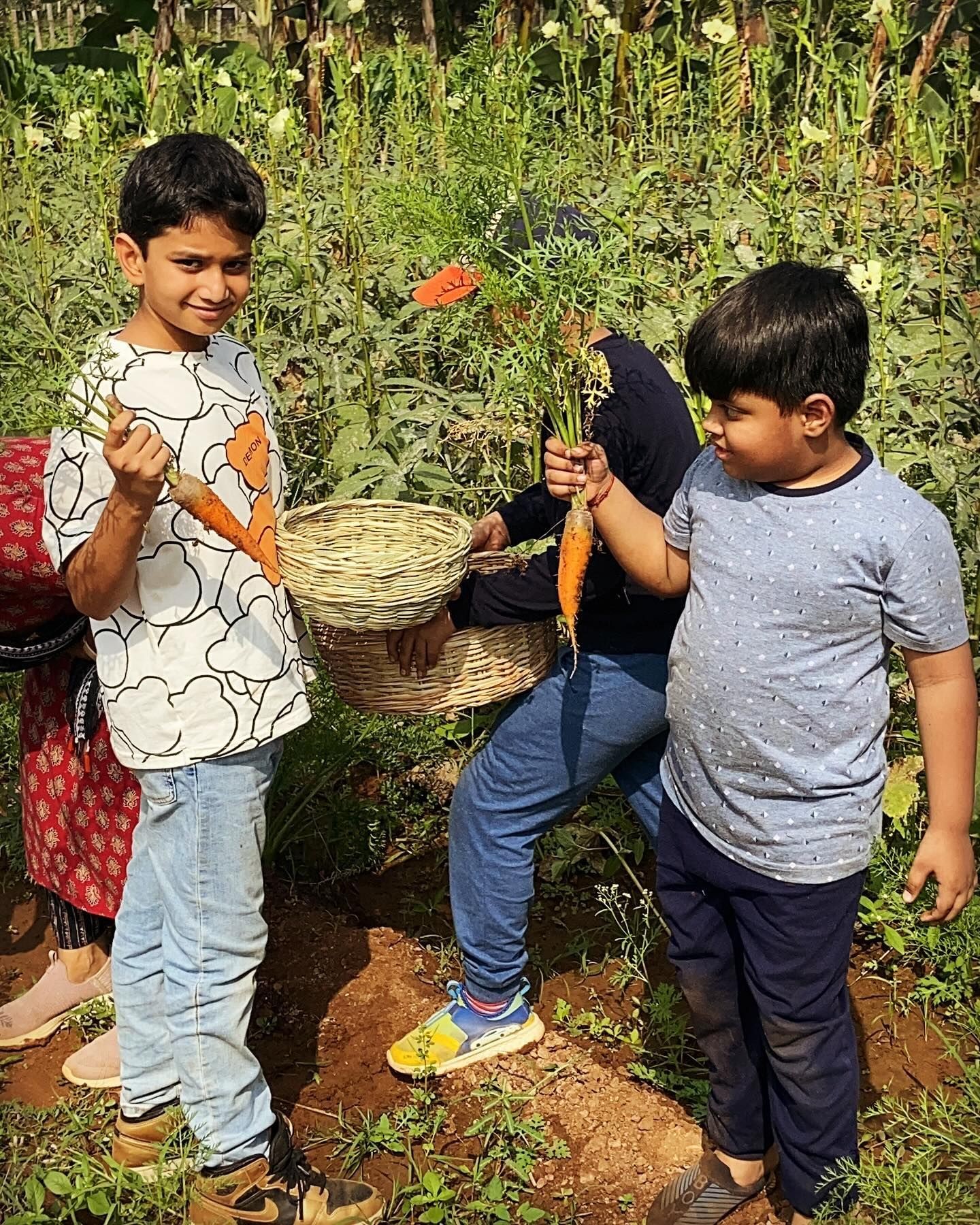 Farm-to-Table Workshop