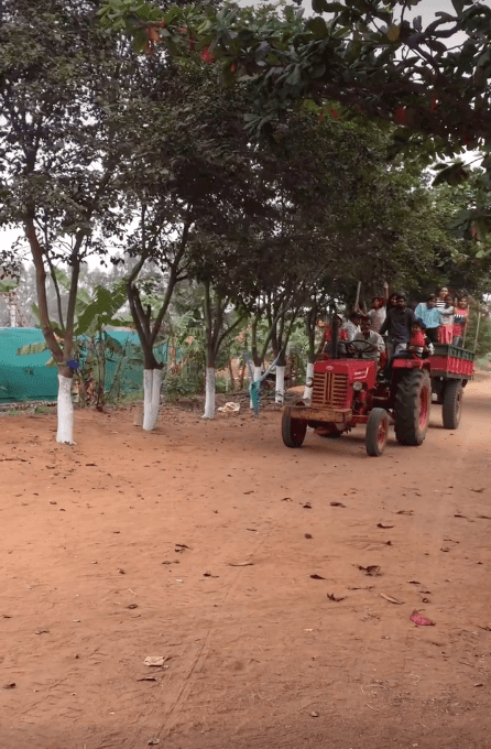 Tractor Rides