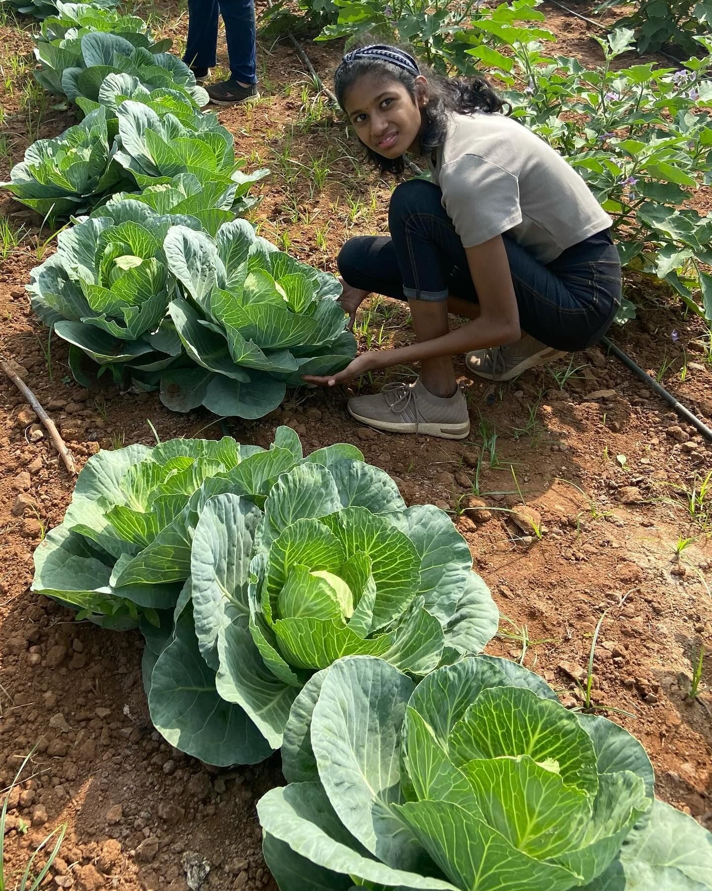 Connection with the Environment